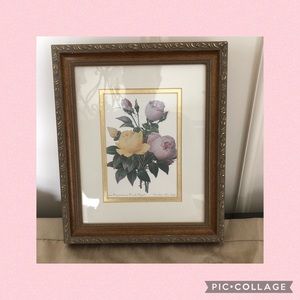 Vintage framed botanical print